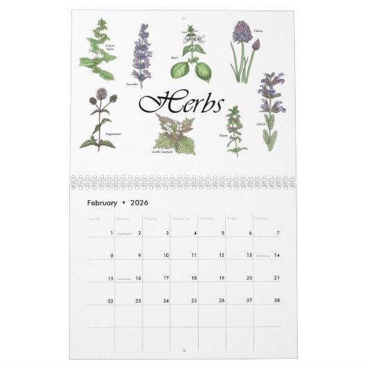 Malte Blume mit botanischen Zeichnungen Kalender (Feb 2026)