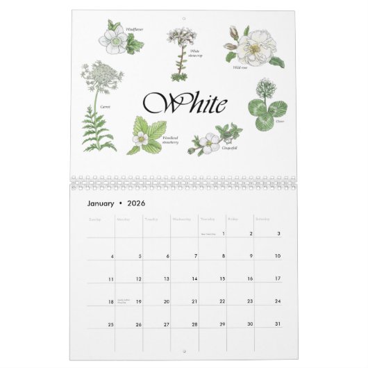 Malte Blume mit botanischen Zeichnungen Kalender (Jan 2026)