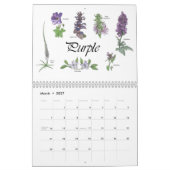 Malte Blume mit botanischen Zeichnungen Kalender (Mär 2027)