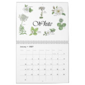 Malte Blume mit botanischen Zeichnungen Kalender (Jan 2027)