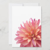 Malte Dahlia-Blume in Rosa und Korallen Einladung (Rückseite)