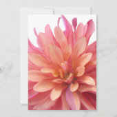 Malte Dahlia in rosa und korallenfarbenem Brautpar Einladung (Rückseite)
