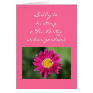 Malte Daisy Cards und mehr