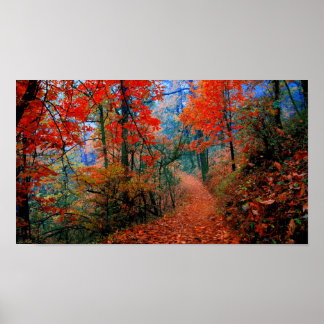 Malte Fotografie Wald Herbstflammweg Poster