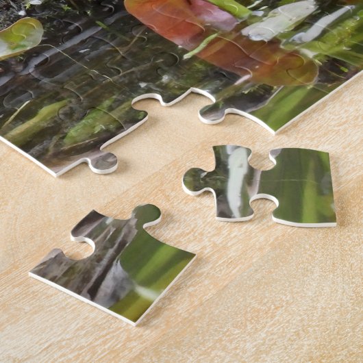 Malte Schildkröte beim Log in Pond Puzzle (Seite)