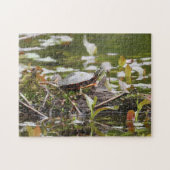 Malte Schildkröte beim Log in Pond Puzzle (Horizontal)