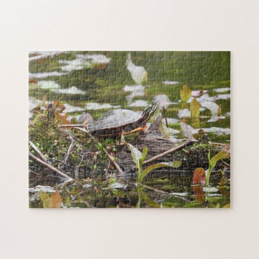 Malte Schildkröte beim Log in Pond Puzzle (Horizontal)