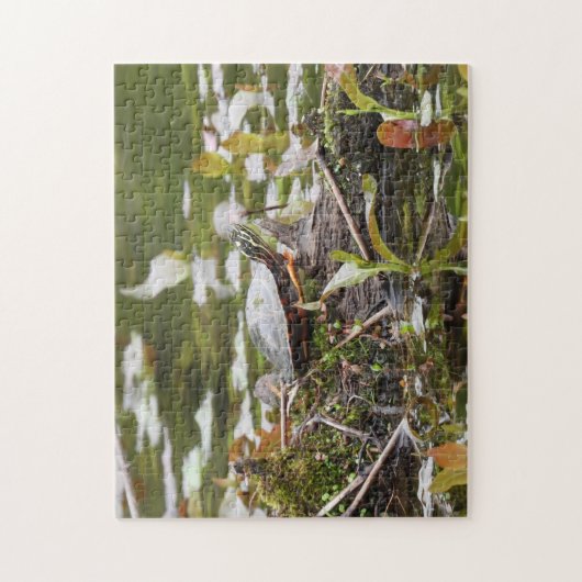 Malte Schildkröte beim Log in Pond Puzzle (Vertikal)