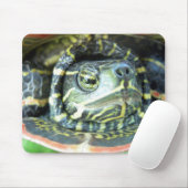 Malte Schildkröte (Chrysemys picta) 2 Mousepad (Mit Mouse)