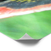 Malte Schildkröte (Chrysemys picta) 2 Poster (Ecke)