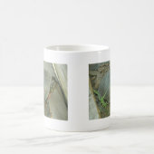 Malte Schildkröte (Chrysemys picta) Kaffeetasse (Mittel)