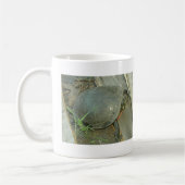 Malte Schildkröte (Chrysemys picta) Kaffeetasse (Links)