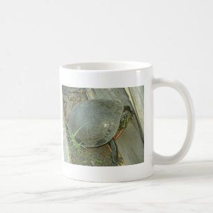Malte Schildkröte (Chrysemys picta) Kaffeetasse