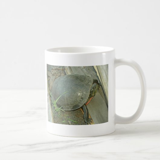 Malte Schildkröte (Chrysemys picta) Kaffeetasse (Rechts)