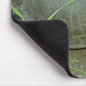 Malte Schildkröte (Chrysemys picta) Mousepad (Ecke)