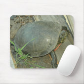 Malte Schildkröte (Chrysemys picta) Mousepad (Mit Mouse)