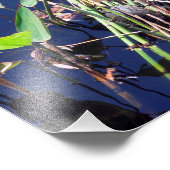 Malte Schildkröte unter Schilf Fotodruck (Ecke)