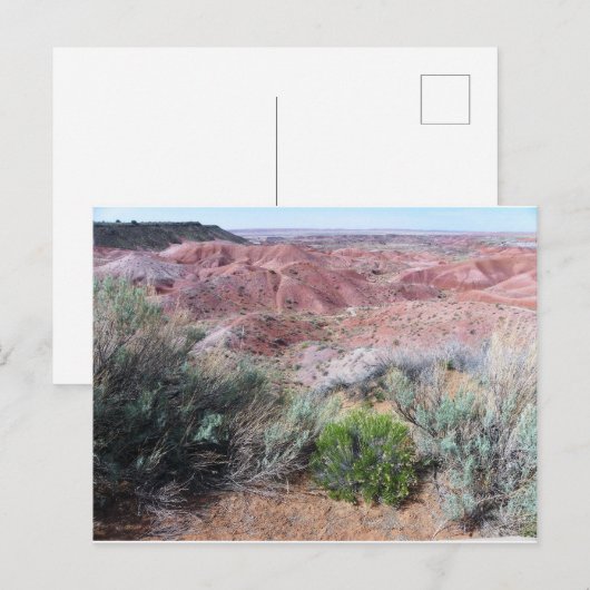 Malte Wüste Postkarte (Vorne/Hinten)