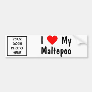 Maltepoo Autoaufkleber