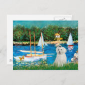 MALTESE 10 - Segelboote Postkarte (Vorne/Hinten)