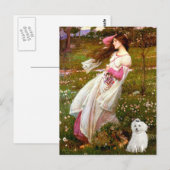 MALTESE 10 - Windblumen Postkarte (Vorne/Hinten)
