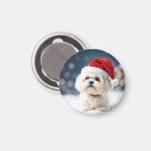 Maltese Christmas Maltese Magnet (Vorderseite/Rückseite)