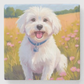 Maltese Dog Flower Field Painting Steinuntersetzer (Vorderseite)