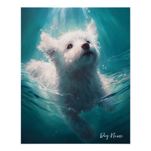 Maltese dog swimming in water 003 poster (Vorderseite)
