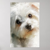 Maltese dog watercolor portrait poster (Vorne)