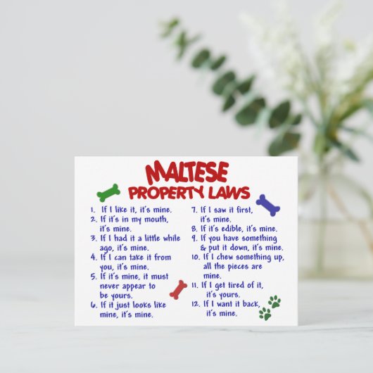 MALTESE-Eigentumsrecht 2 Postkarte (Stehend Vorderseite)