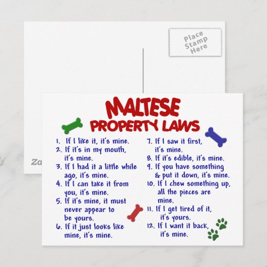 MALTESE-Eigentumsrecht 2 Postkarte (Vorne/Hinten)