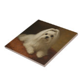 Maltese Fliese (Seite)