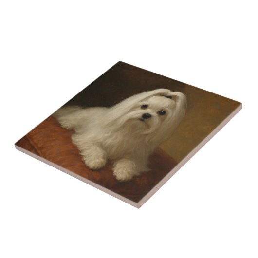 Maltese Fliese (Seite)