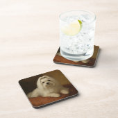 Maltese Getränkeuntersetzer (Rechte Seite)