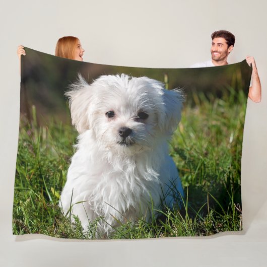 MALTESE PUPPY FLEECEDECKE (Beispiel)