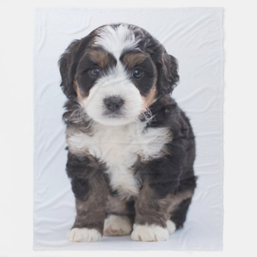 MALTESE PUPPY FLEECEDECKE (Vorderseite)