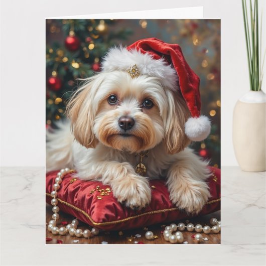 Maltese Royal Christmas Crimson Hat Karte (Vorderseite)