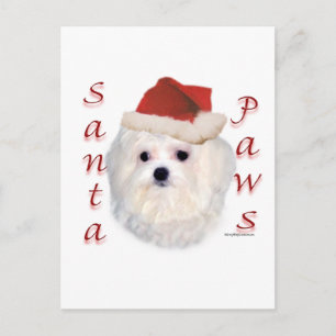 Maltese Santa Paws Feiertagspostkarte