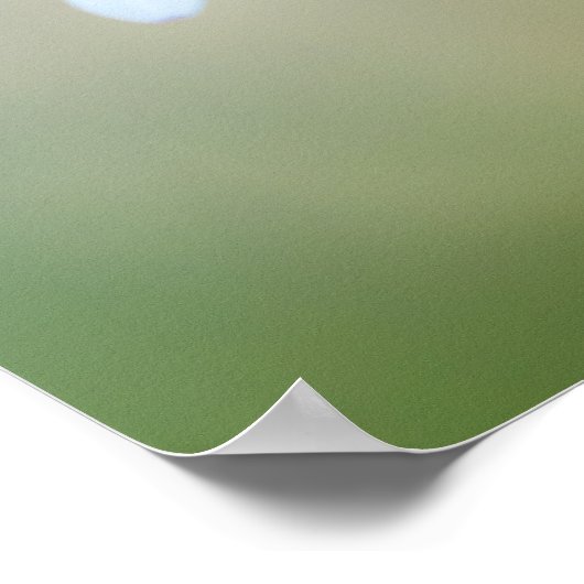 🌼 Maltese Serenity Poster (Ecke)