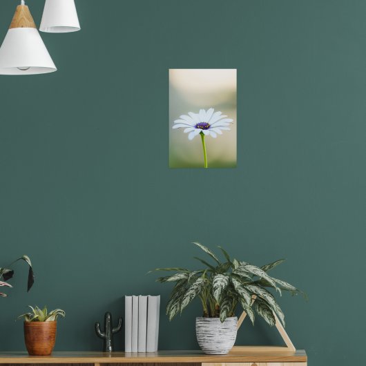 🌼 Maltese Serenity Poster (Wohnzimmer 1)