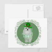 Maltese St. Patricks Day Postkarte (Vorne/Hinten)