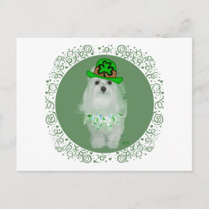 Maltese St. Patricks Day Postkarte