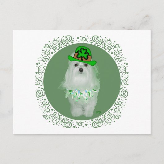 Maltese St. Patricks Day Postkarte (Vorderseite)