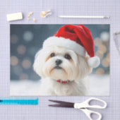 Maltese Tissue Paper Seidenpapier (Handwerk)