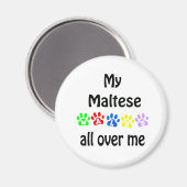 Maltese Walks Design Magnet (Vorderseite/Rückseite)