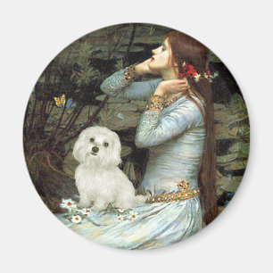 Malteser 11 - Ophelia sitzend Magnet