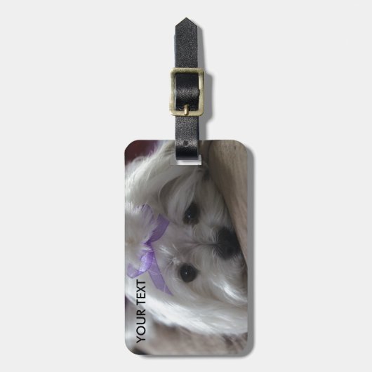 Malteser Design Gepäckanhänger (Vorderseite vertikal)