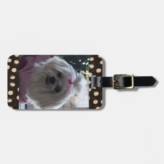 Malteser Gepäckträger Gepäckanhänger (Vorderseite horizontal)