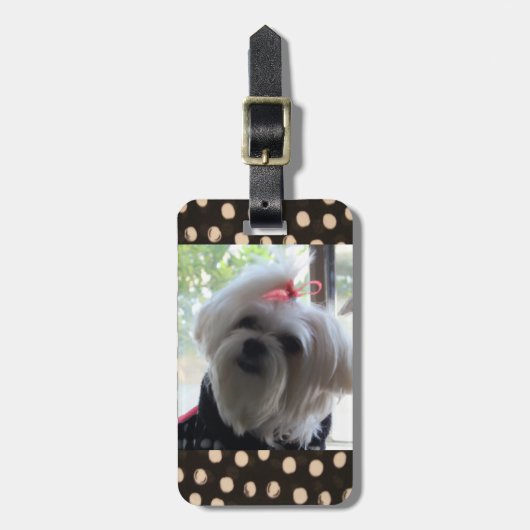 Malteser Gepäckträger Gepäckanhänger (Vorderseite vertikal)