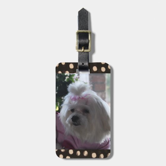 Malteser Gepäckträger Gepäckanhänger (Vorderseite vertikal)